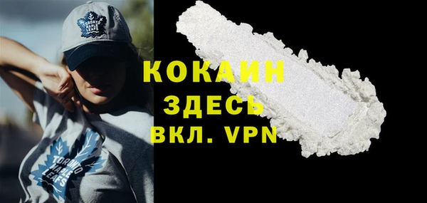 трава Аркадак